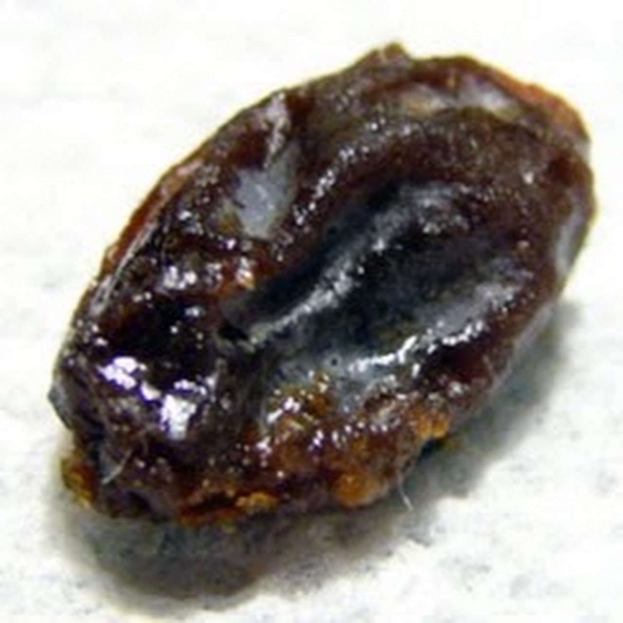 Awatar Raisin